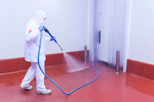 Spring Cleaning in Muscoy, CA