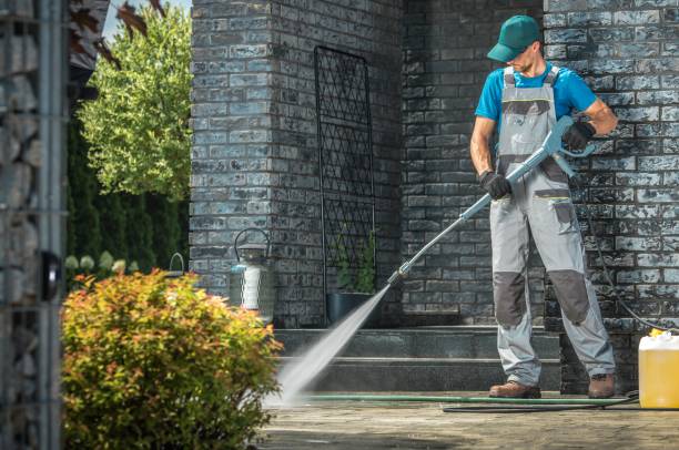 Best Solar Panel Cleaning  in Muscoy, CA